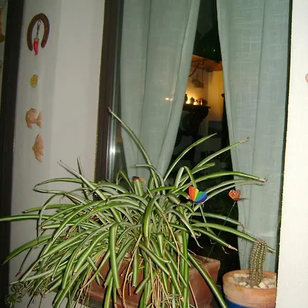 Mauripe Bed & Breakfast